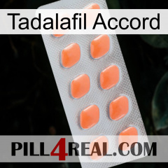 Tadalafil Accord 26